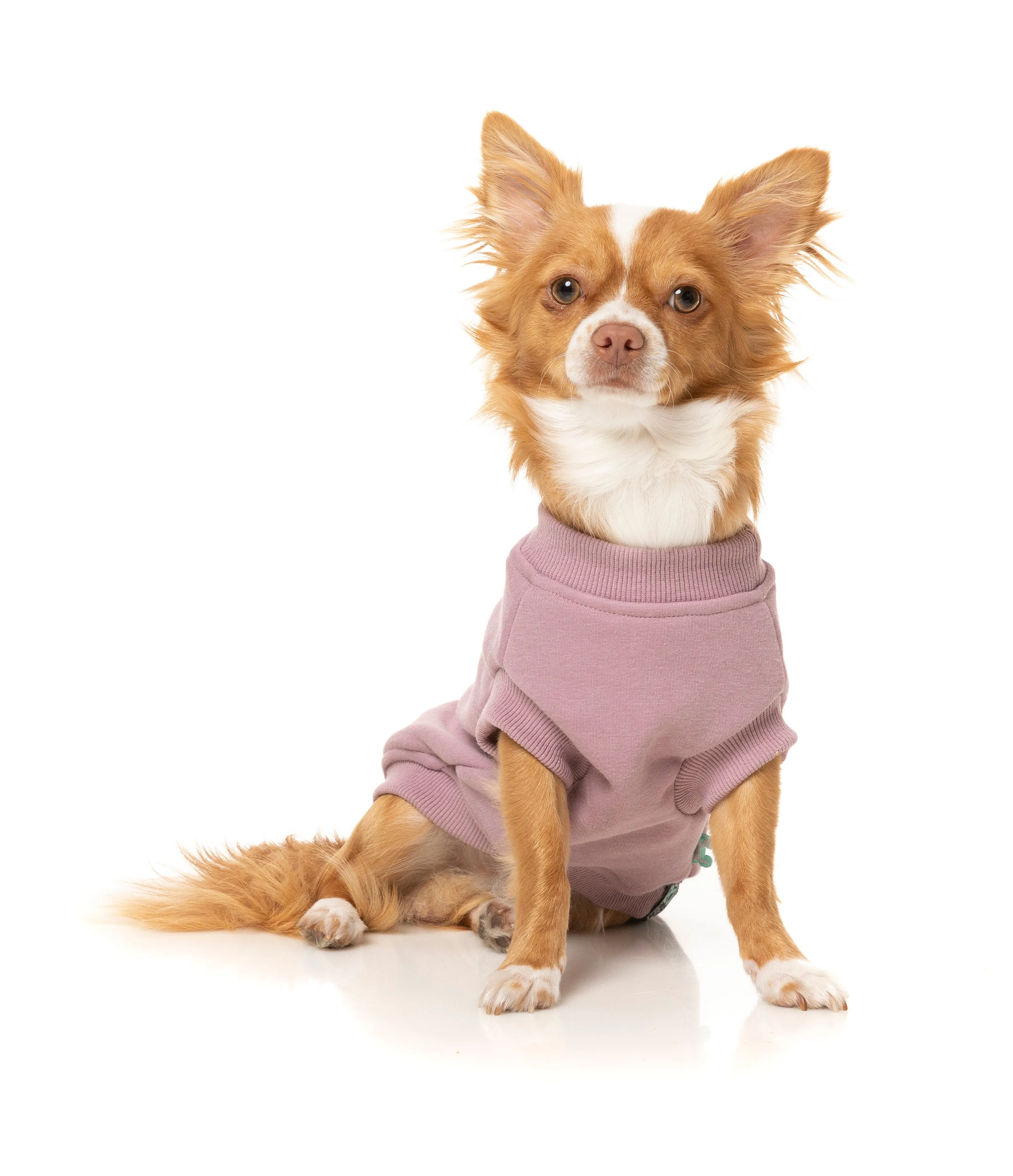 Allday Sweater - Purple - SPECIAL OFFER!