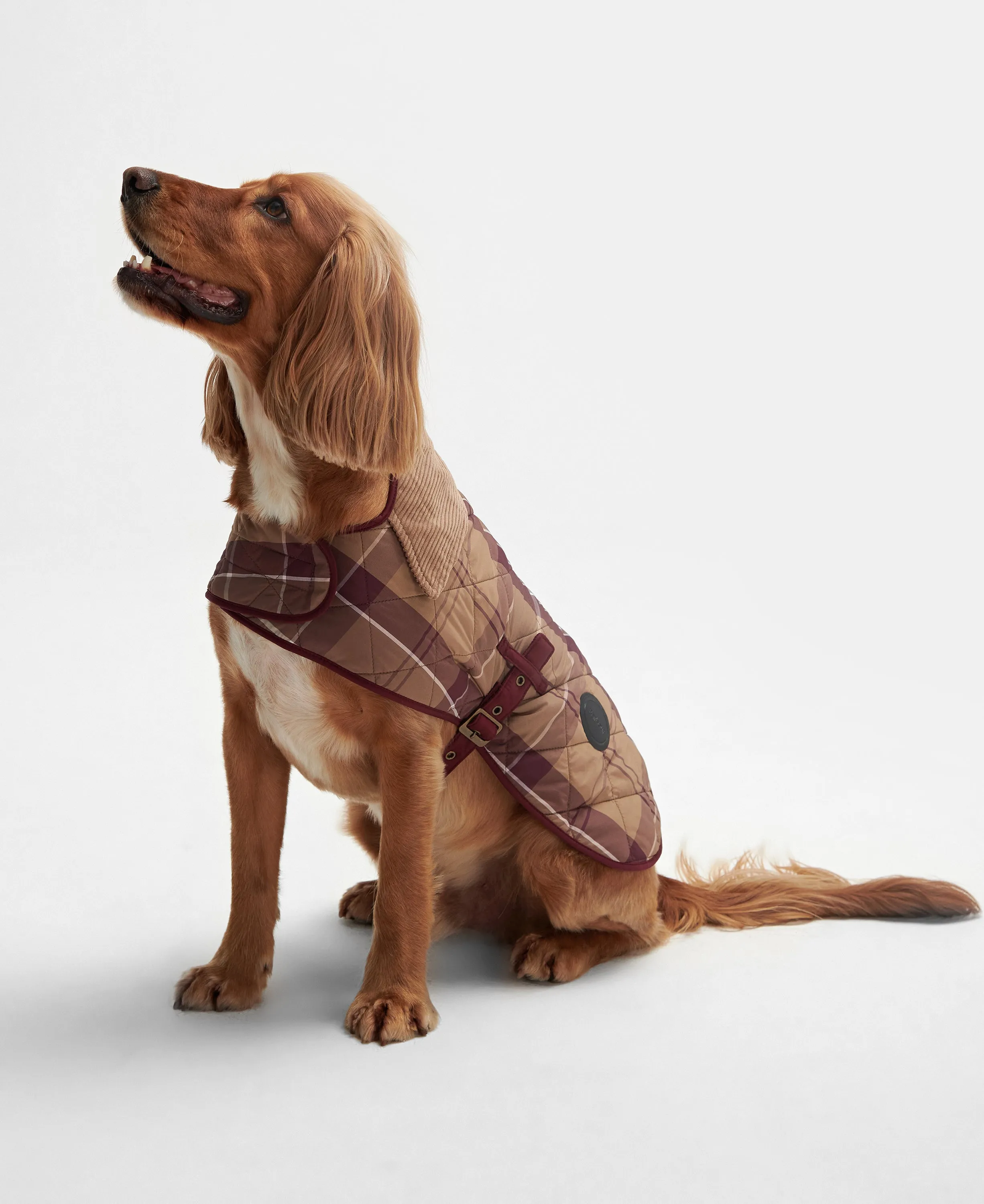 Barbour Tartan Dog Coat