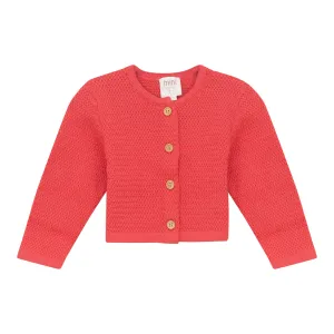 Knit Caridgan