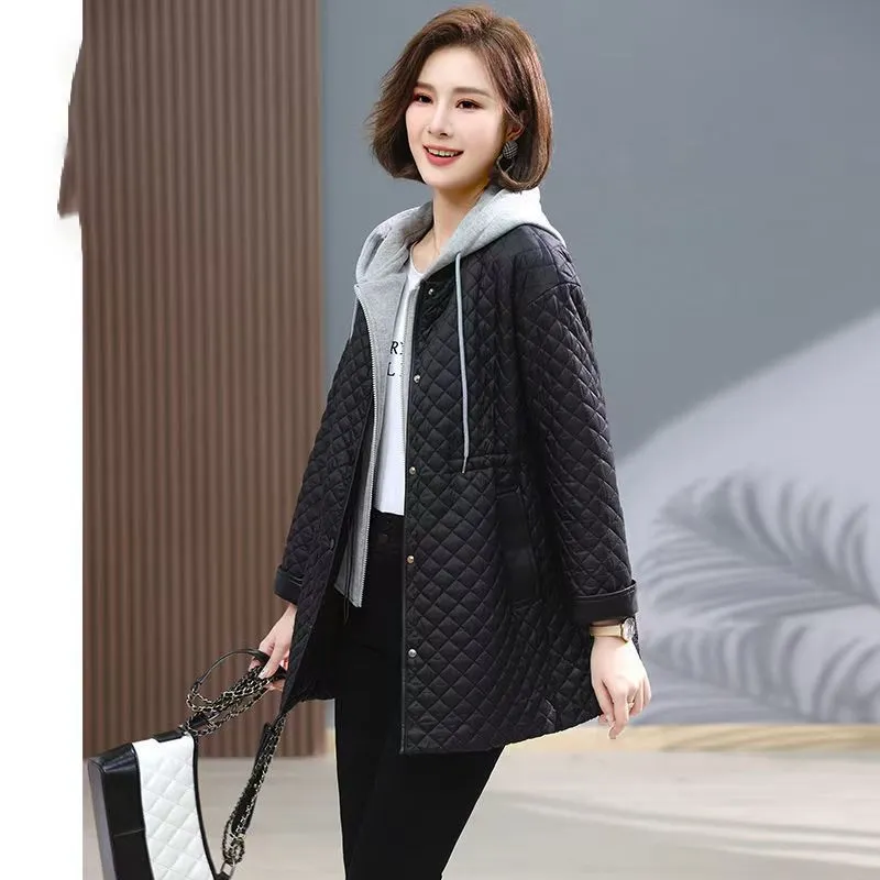 Monochrome Windproof Easy-to-Clean Hooded Puffer Jacket