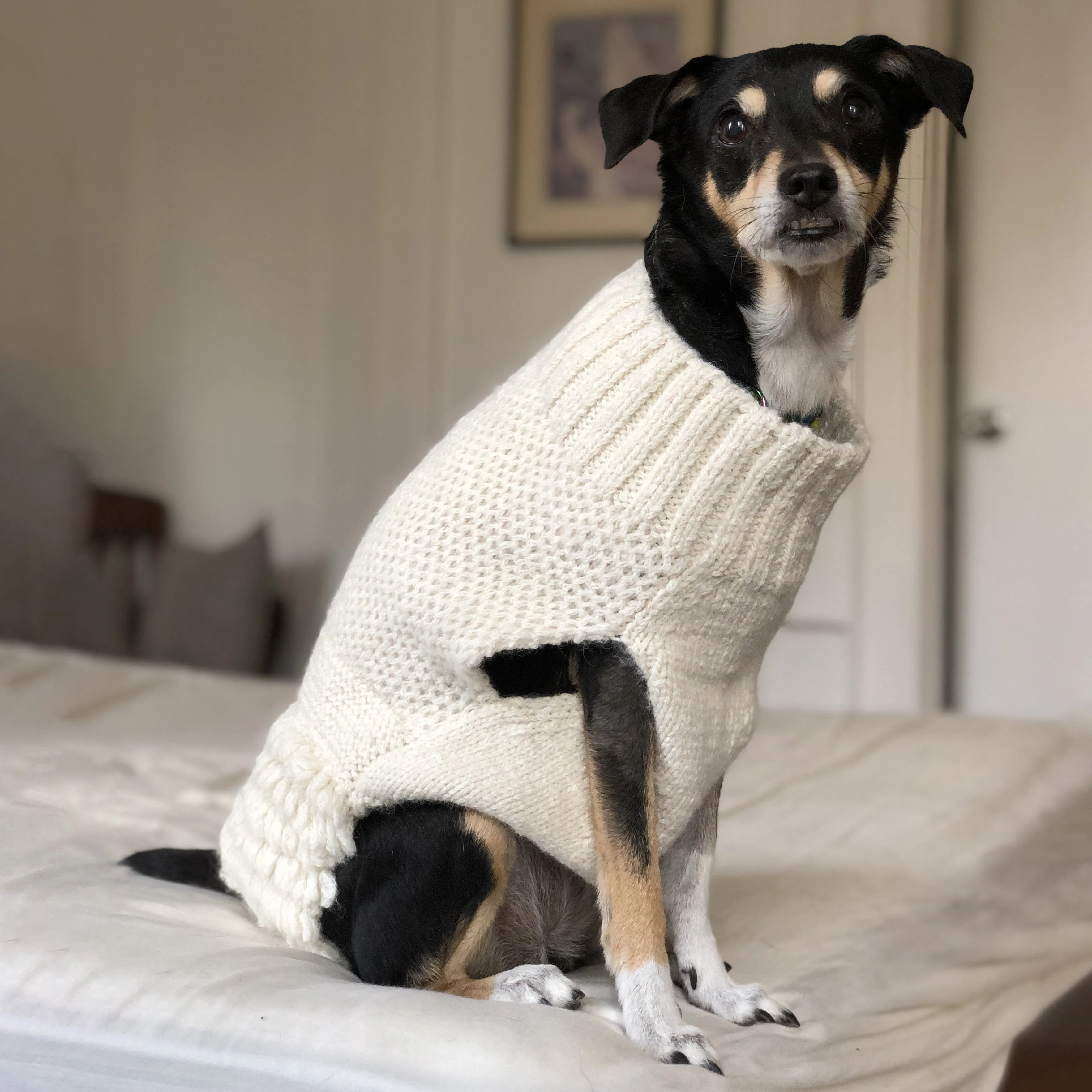 Ollie Turtleneck Sweater - Ivory